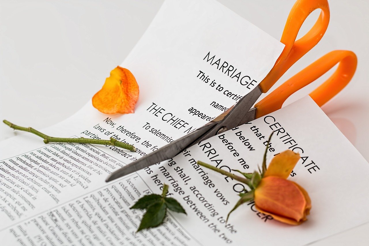Can a working wife get Alimony?